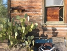 PICTURES/Vulture Mine/t_School & Cactus.jpg